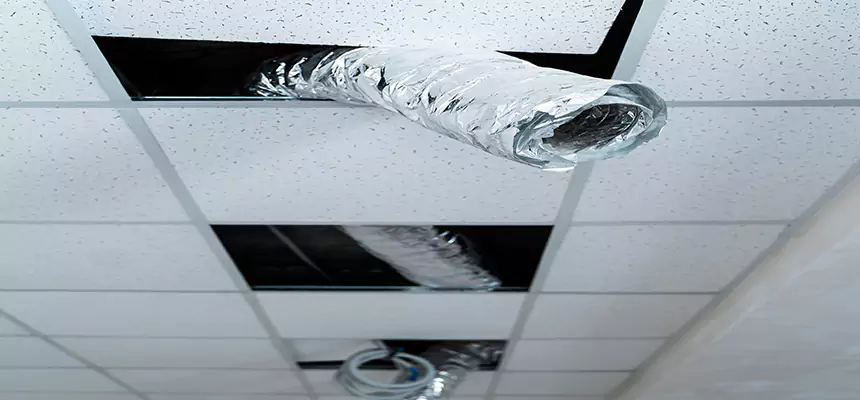 Our Air Duct Pet Hair Removal Services in Henderson, NC