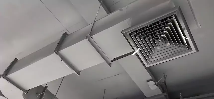 Restorative Allergy Relief Vent Cleaning – Coil, Blower & Housing Detail in Henderson