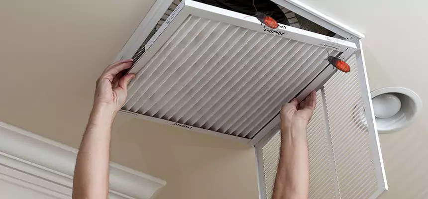 Our Insect Removal from Air Ducts Services in Henderson, NC