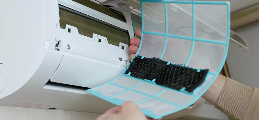 Gentle Ductwork Odor-Control Pet Dander Duct Cleaning in Henderson, NC