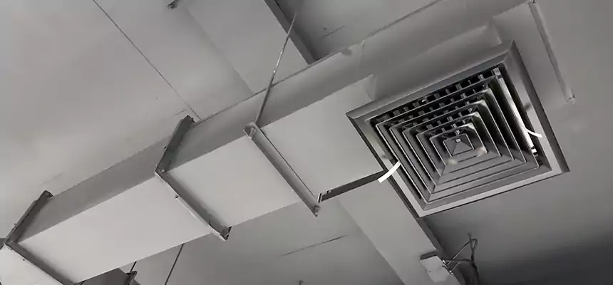 Our Rodent Droppings In Vents Services in Henderson, NC