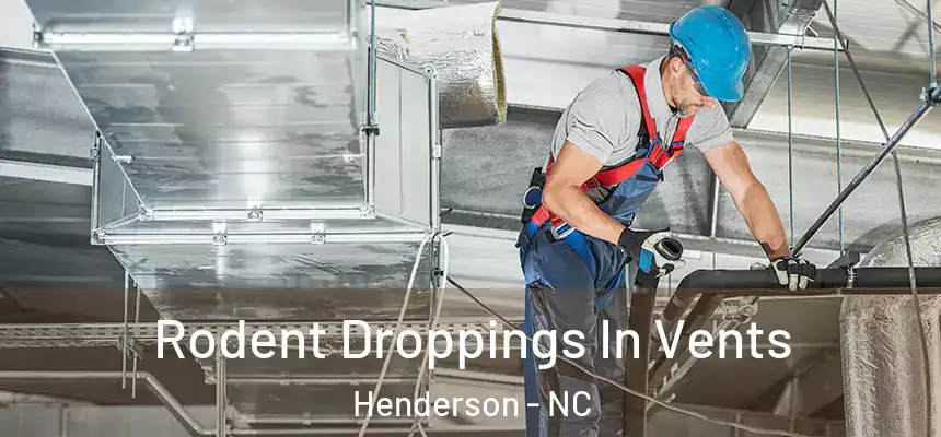  Rodent Droppings In Vents Henderson - NC