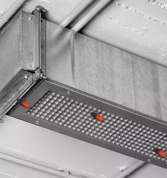 Affordable Insect Removal from Air Ducts in Henderson, NC