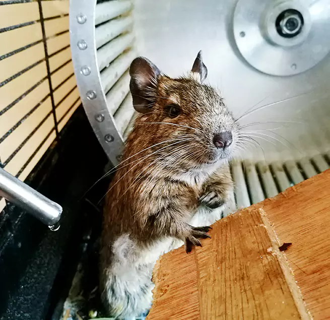 Why Homeowners & Businesses Trust Us Henderson, NC