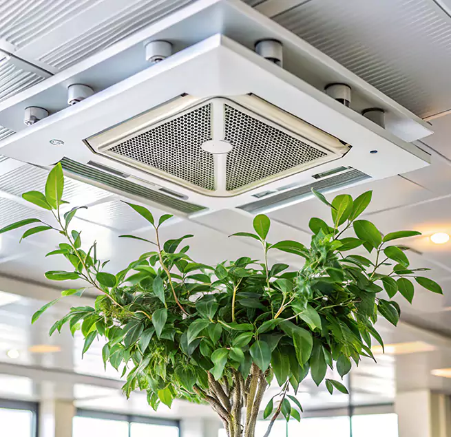 Why Homeowners & Businesses Trust Us in Henderson, NC