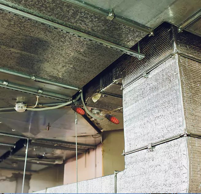 Why Homeowners & Businesses Trust Us Henderson, NC?