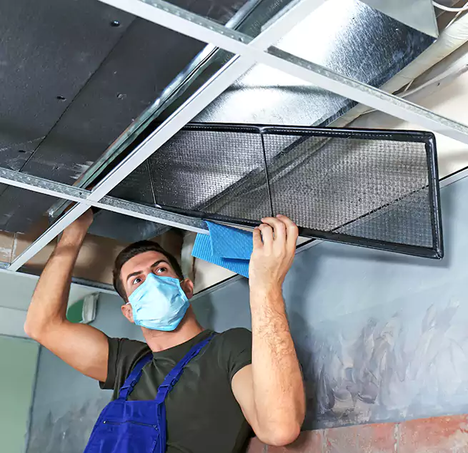 Why Homeowners Businesses Trust Us in Henderson, NC